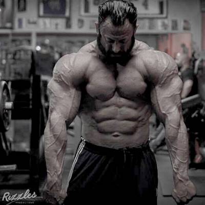 SEAN HARRIS, IFBB Pro Bodybuilder at BigBodies.com